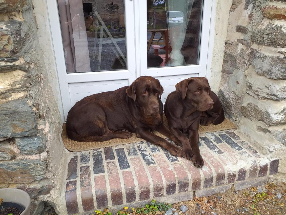 Bed and Breakfast La Petite Houssaye Villiers-Fossard Exterior foto